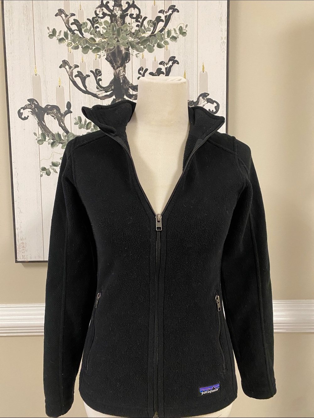 Patagonia Black Full-Zip Teddy Fleece Jacket